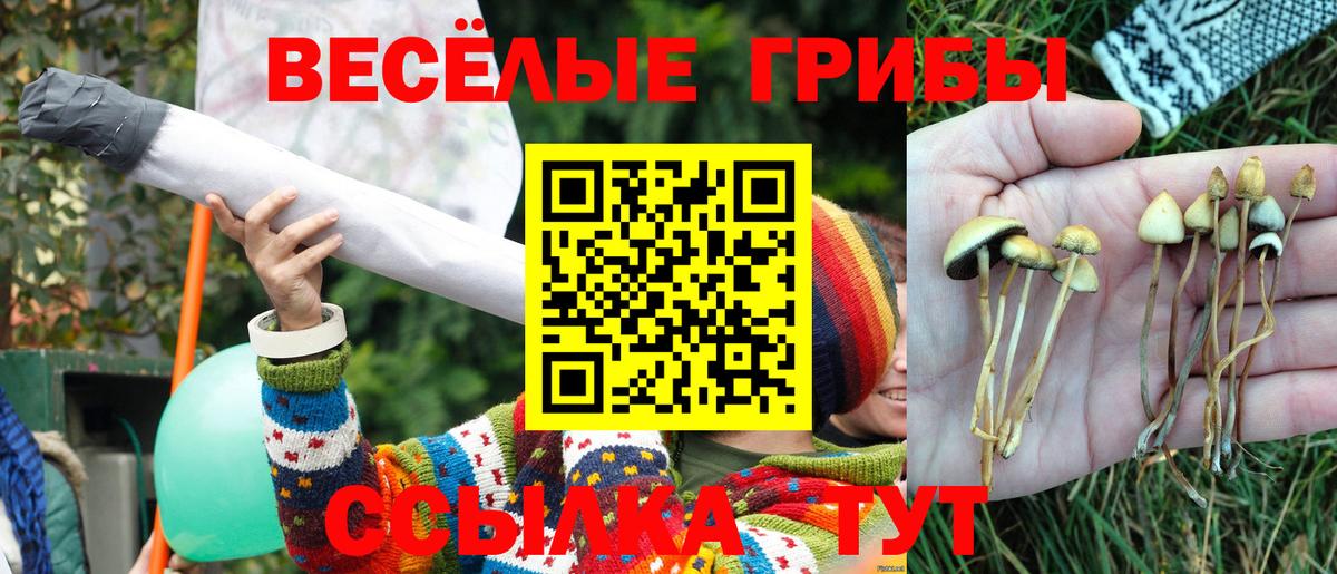 Псилоцибиновые грибы мухоморы  Вход с VPN  Галлюциногенные грибы ЛСД  Апатиты 